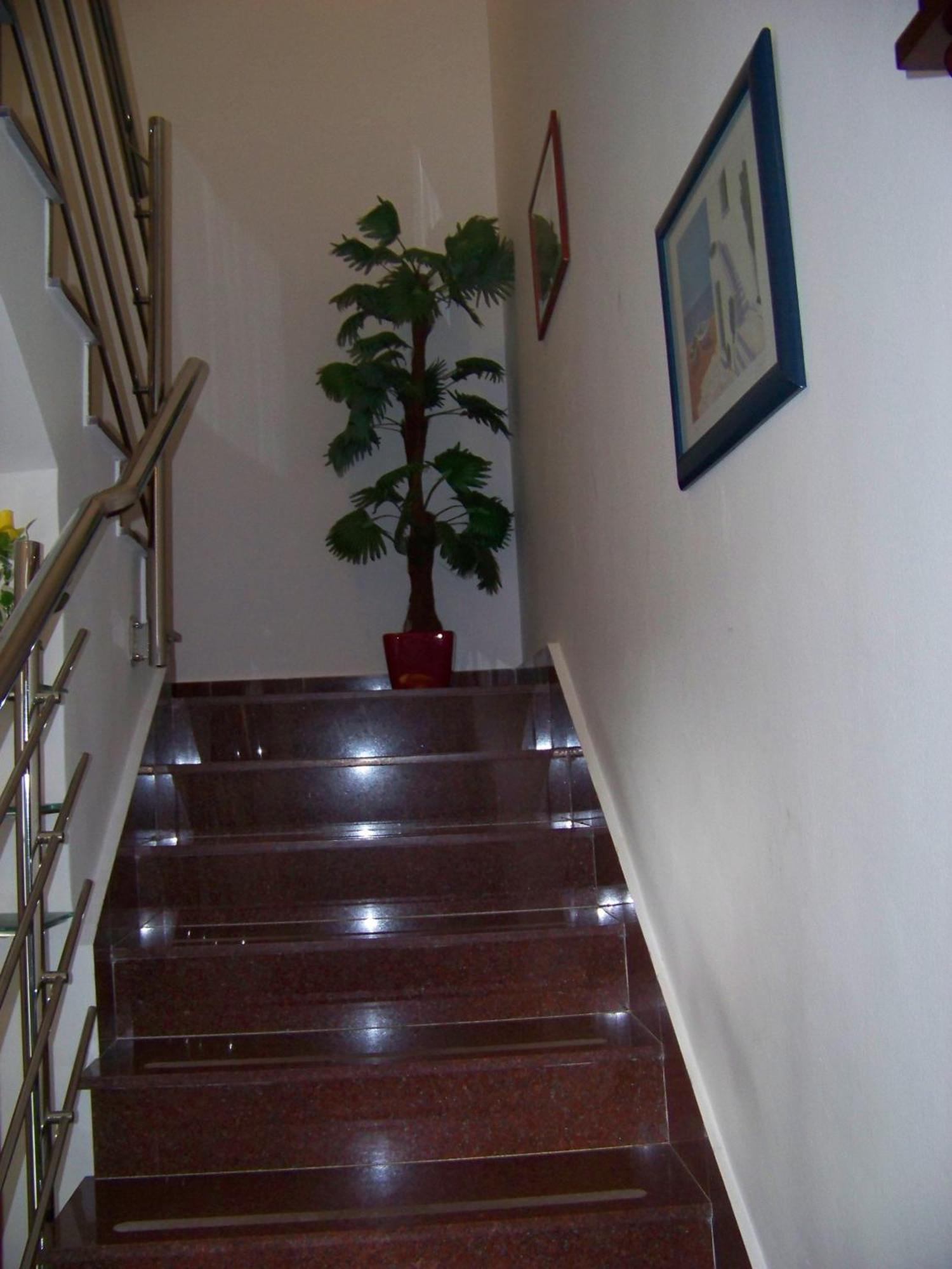 Apartments Bozikovic Подстрана Екстер'єр фото